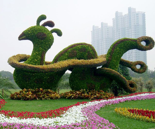 绿色植物孔雀雕塑